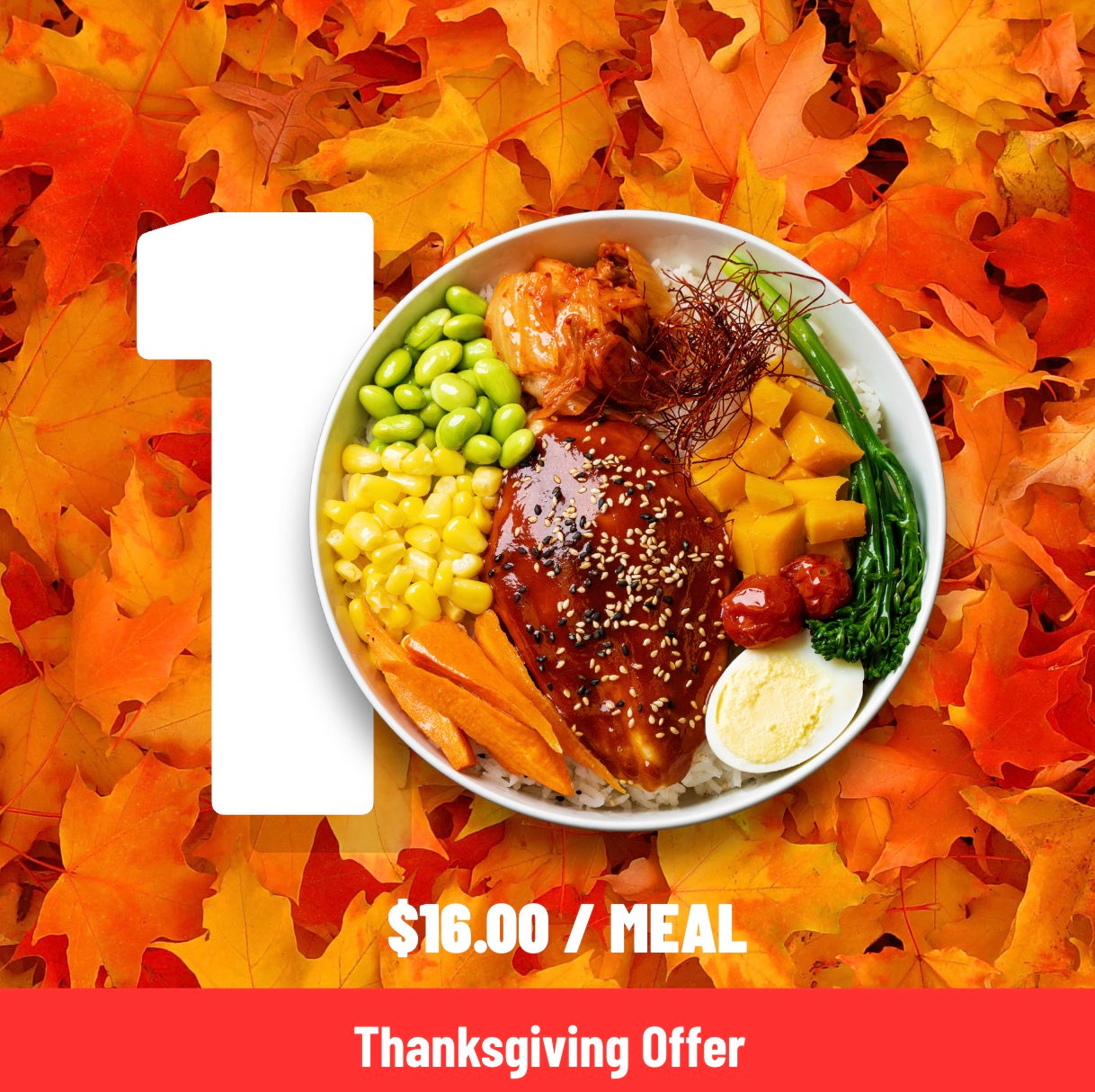 10 Meals Package